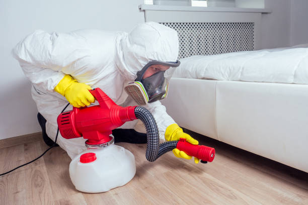 Best Real Estate Pest Inspections  in Minorca, LA